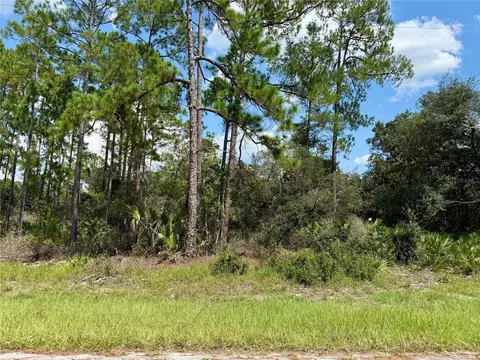lot20 Balsam St, Eustis, FL 32736