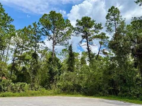 lot3 Tamarac St, Eustis, FL 32736