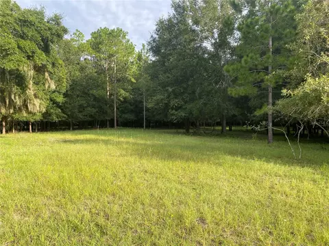 Cr 466, Oxford, FL 34484