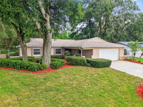 13545 Devenshire Ct, Grand Island, FL 32735