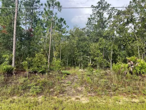 7180 N Henderson Way, Dunnellon, FL 34434