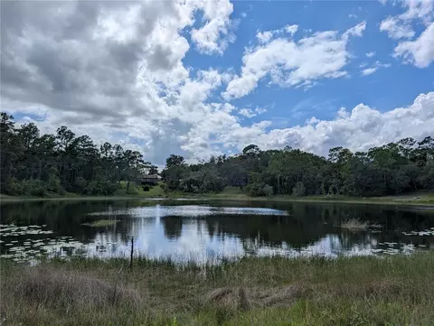 5387 SE 168th Ave, Ocklawaha, FL 32179