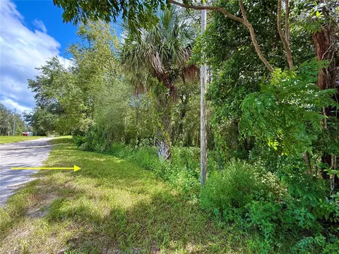 lot1 Palm Dr, Eustis, FL 32736