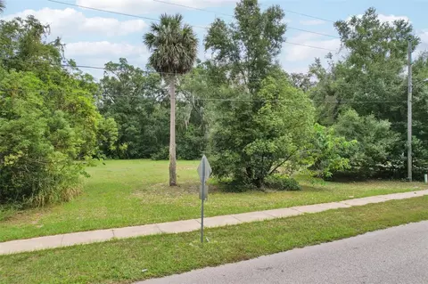 847 Palmetto St, Eustis, FL 32726 photo 5