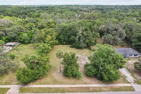 847 Palmetto St, Eustis, FL 32726 photo 6