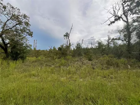13101 Thrasher Ave, Weeki Wachee, FL 34614