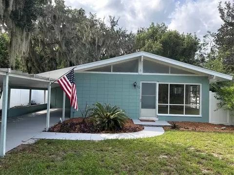 102 E Pendleton Ave, Eustis, FL 32726