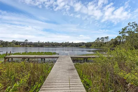 230 Fisher Run, Ocklawaha, FL 32179