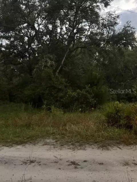 4547 SW 128th Pl, Webster, FL 33597 photo 8