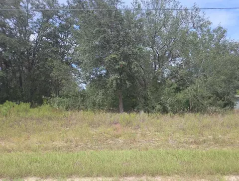 823 E Dellbrook Ln, Dunnellon, FL 34434