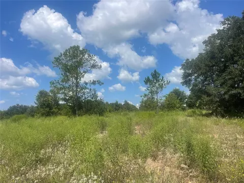 tbd Keene Rd, Umatilla, FL 32784 photo 2