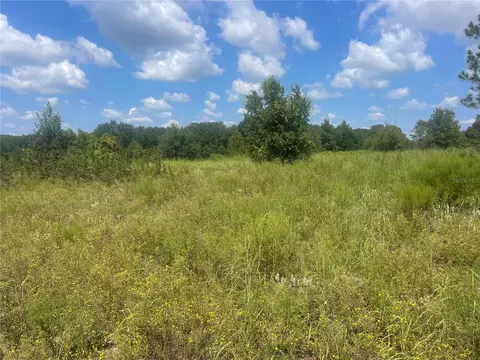 tbd Keene Rd, Umatilla, FL 32784 photo 3
