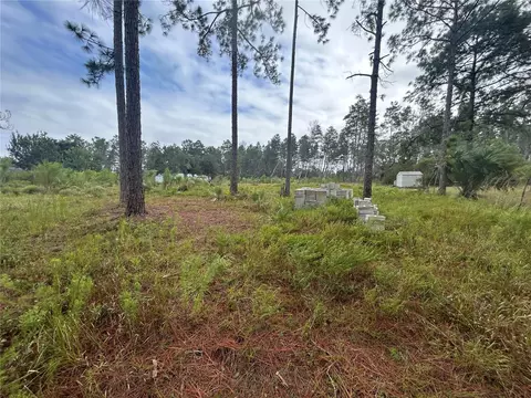 Tulip Avenue, Eustis, FL 32736
