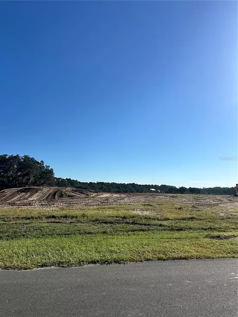 38404 Wooded Meadow Dr, Umatilla, FL 32784