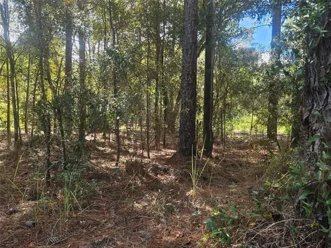 13099 SW 92nd Pl, Dunnellon, FL 34432