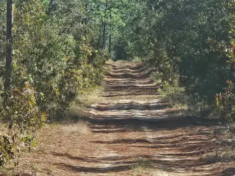 Nnnn SW 92nd Place Sw, Dunnellon, FL 34432