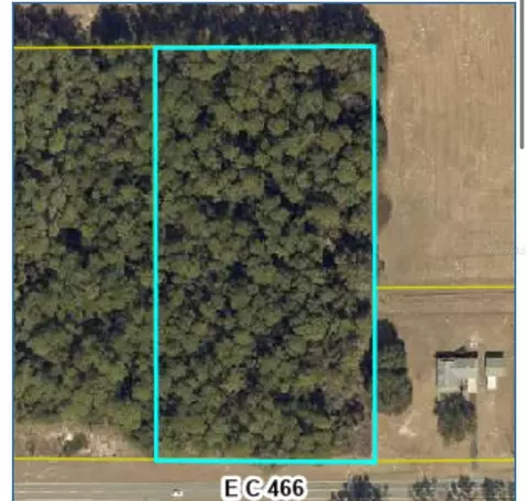 0 County Road 466, Oxford, FL 34484