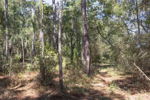 tbd Cr 673, Webster, FL 33597 photo 12