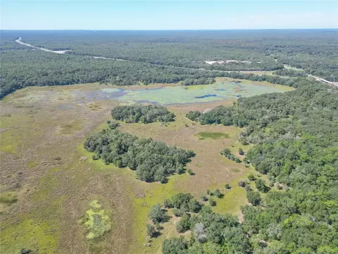 tbd Cr 673, Webster, FL 33597 photo 24
