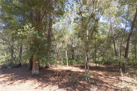 tbd Cr 673, Webster, FL 33597 photo 29