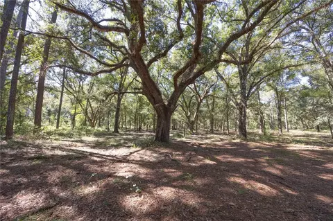 tbd Cr 673, Webster, FL 33597 photo 27