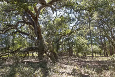 tbd Cr 673, Webster, FL 33597 photo 66