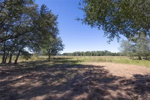 tbd Cr 673, Webster, FL 33597 photo 64