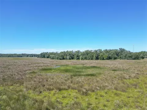 tbd Cr 673, Webster, FL 33597 photo 14