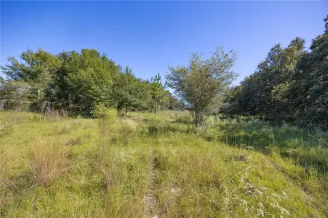 tbd Cr 673, Webster, FL 33597 photo 31