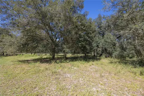 tbd Cr 673, Webster, FL 33597 photo 37