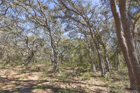 tbd Cr 673, Webster, FL 33597 photo 53