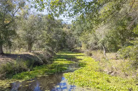 tbd Cr 673, Webster, FL 33597 photo 30