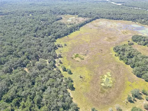 tbd Cr 673, Webster, FL 33597 photo 21