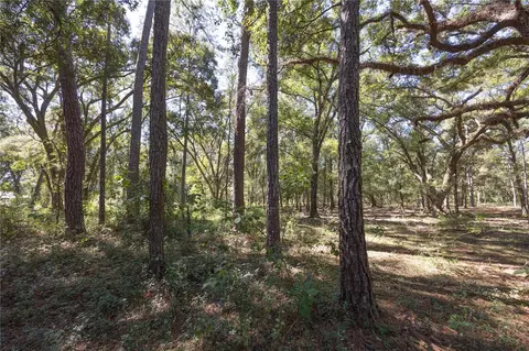 tbd Cr 673, Webster, FL 33597 photo 65