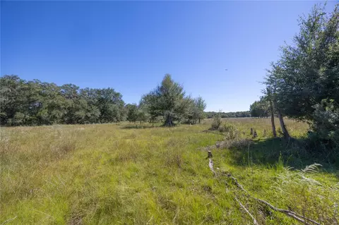 tbd Cr 673, Webster, FL 33597 photo 22