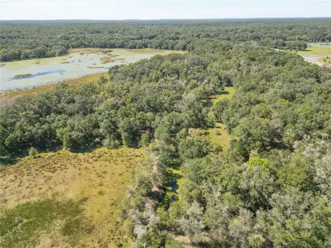 tbd Cr 673, Webster, FL 33597 photo 60