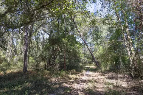tbd Cr 673, Webster, FL 33597 photo 46