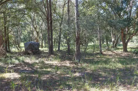 tbd Cr 673, Webster, FL 33597 photo 20