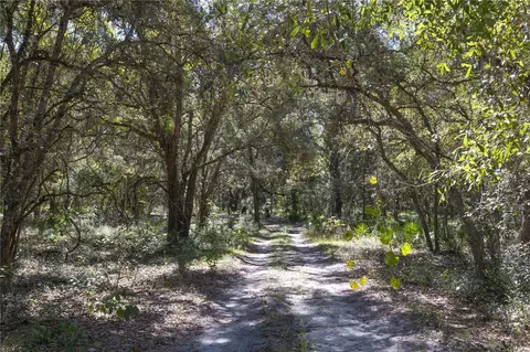 tbd Cr 673, Webster, FL 33597 photo 55