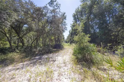 tbd Cr 673, Webster, FL 33597 photo 38