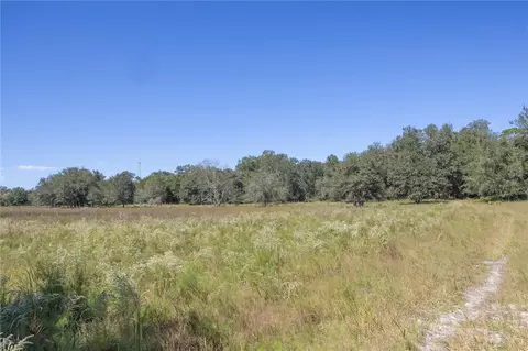 tbd Cr 673, Webster, FL 33597 photo 47