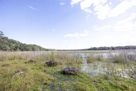 tbd Cr 673, Webster, FL 33597 photo 48