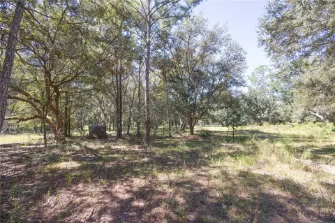 tbd Cr 673, Webster, FL 33597 photo 45