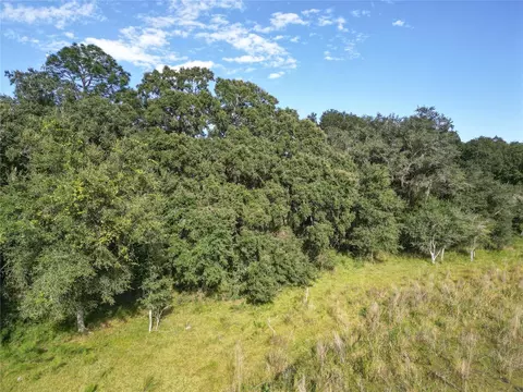 tbd Cr 673, Webster, FL 33597 photo 61