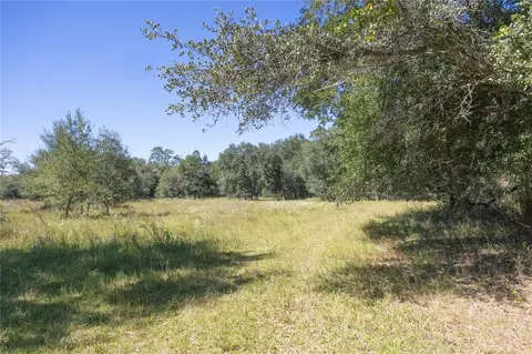 tbd Cr 673, Webster, FL 33597 photo 9