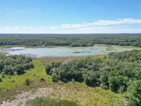 tbd Cr 673, Webster, FL 33597 photo 49