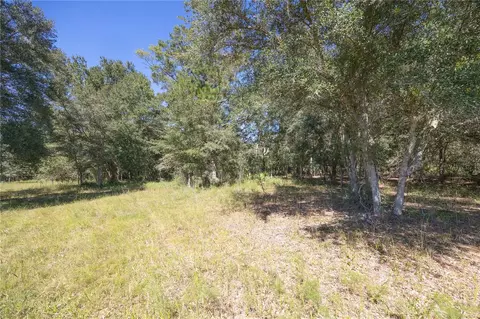 tbd Cr 673, Webster, FL 33597 photo 39