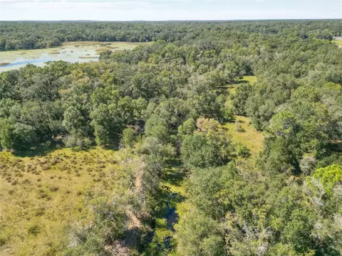 tbd Cr 673, Webster, FL 33597 photo 35