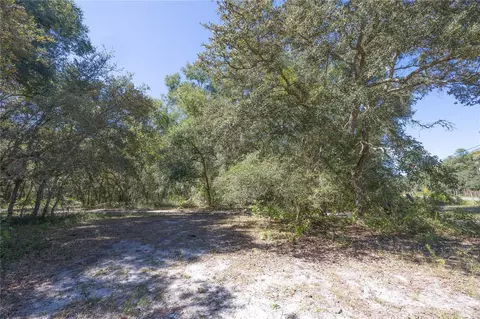 tbd Cr 673, Webster, FL 33597 photo 62