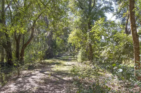 tbd Cr 673, Webster, FL 33597 photo 40